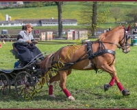 1POSIEUX 0346